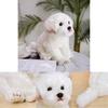 Adorable White Maltese Plush Toy, Fiber Filled, Long Haired Stuffed Animal, 33x24x16cm/38x26x21cm
