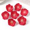 10/20/50Pcs 4cm Silk Plum Blossom Heads Artificial Cherry Blossom Flowers for Home Room Wedding Decor DIY Flowers Wall Accessory