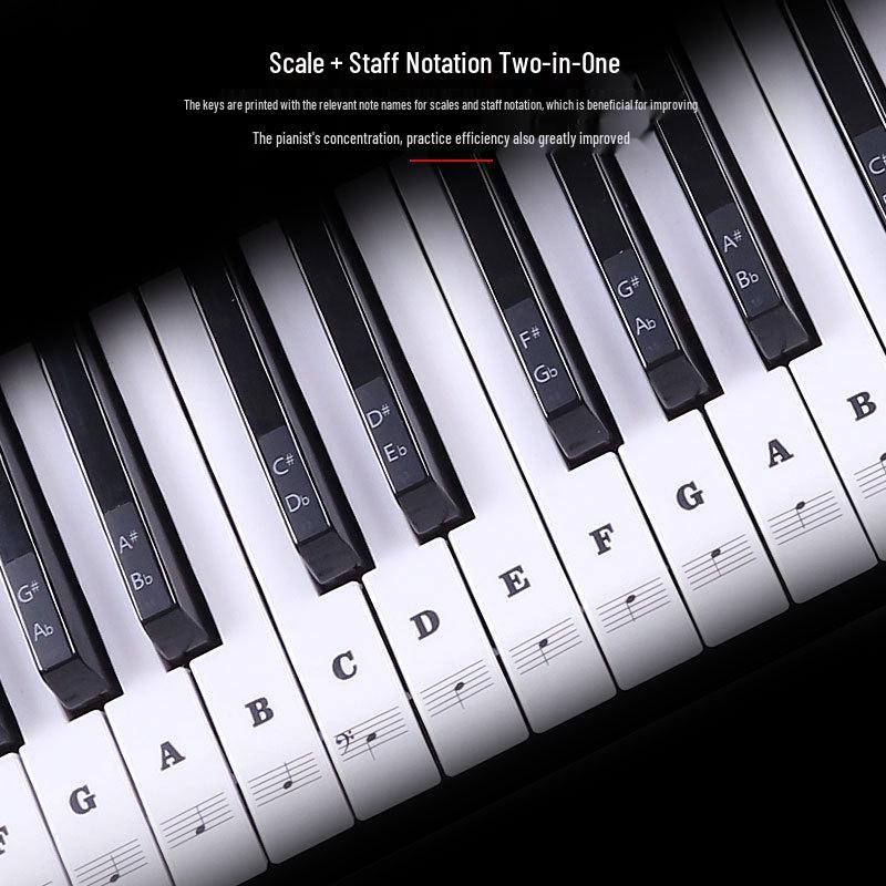 

Beginner Piano & Electronic Keyboard Staff Scale Stickers