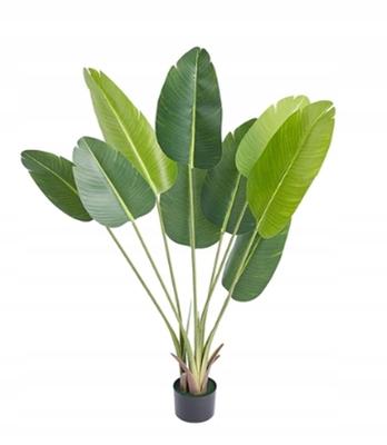 Artificial Banana Palm Tree Exotic Plant In A Realistic Pot 150Cm