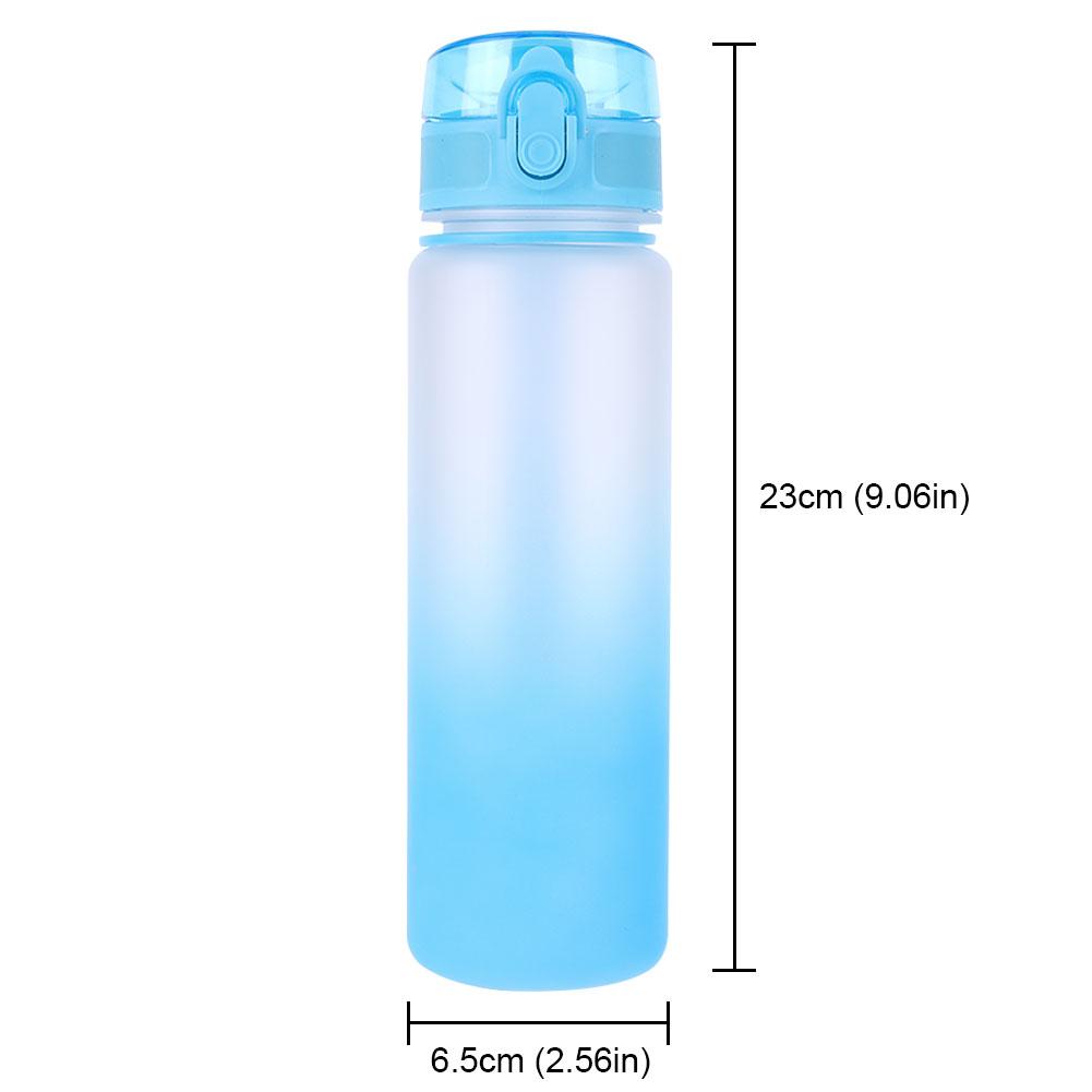 500ml Sports Water Bottle Frosted Progressive Color Drinking Water Cup with Handle Gradient for Gym Outdoor Sports Camping