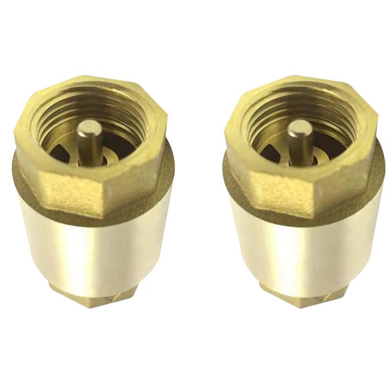 Water Meter Vertical Check Valve