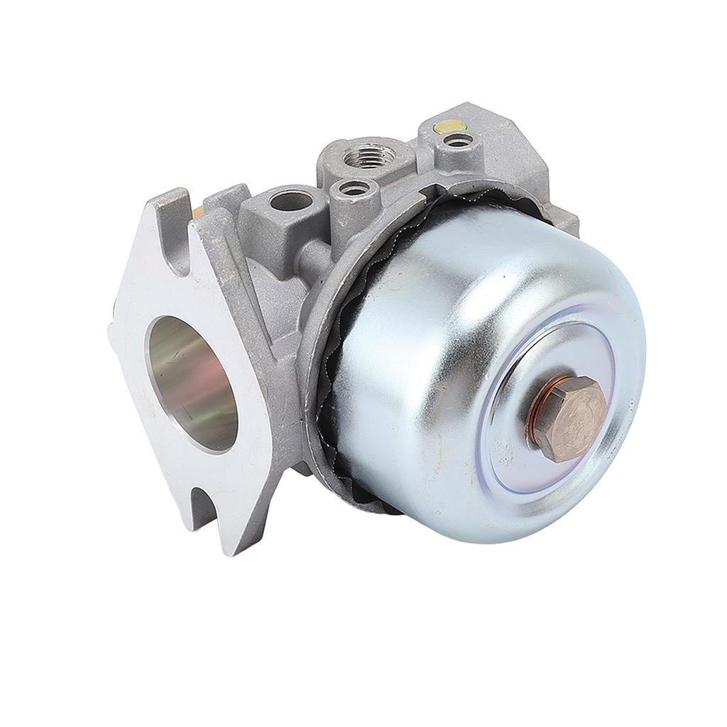 Vergaser mit Dichtung Stahlbürsten-Kit für Kohler Magnum M18 M20 MV18 MV20 KT17 KT19 Rasenmäher