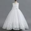 Girls Dress Dress Sleeveless Mesh Performance Host Princess Dress