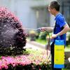 Testa dell'interruttore dello spruzzatore per il controllo delle erbacce da giardino con impugnatura per spruzzatore a grilletto 3L/5L/8L