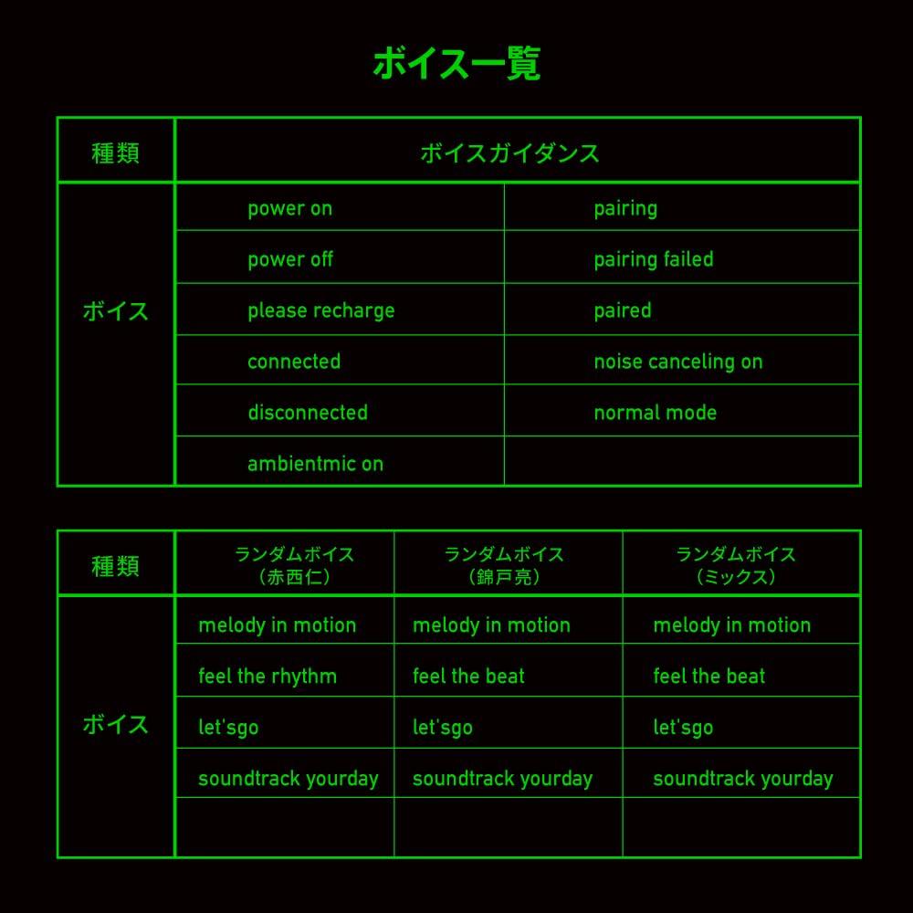 AVIOT Wireless Earbuds Collaboration with Ryo Nishikido and Jin Akanishi Noise Up to 42 Hours of Ambient Sound IPX4 Waterproof TE-Q3-NA2 (N/A Model)