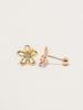 Minimal Piercing 14K Edelweiss Piercing Earrings