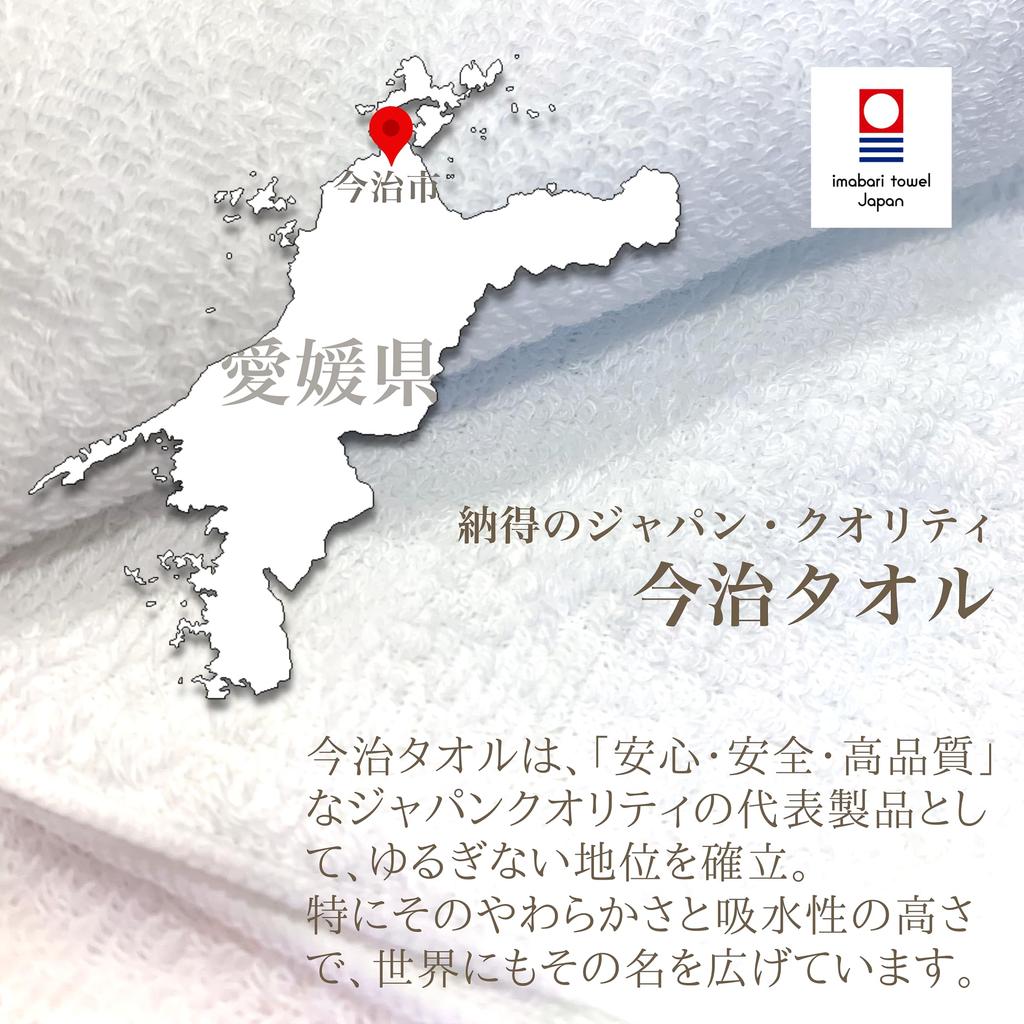 Imabari Havlu Şirketi Mendil 22x22cm Hediye [16 Türün Hepsi] Hayvan Geçidi Nakışı