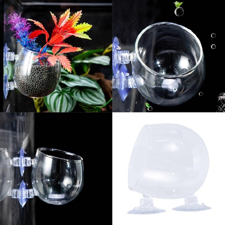 Glass Plant Cup for Aquariums for Enhancing Fishtanks Aesthetic Hydroponic Plant Holder for Fishtanks Underwater Decors