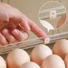 Large Capacity Refrigerator Egg Storage Box Plastic Large Egg Holder Egg Storage Tray  Refrigerator