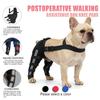 Dog Knee Brace Back Leg Injury Recovery - Pet Support Protector Anti-Lick Joint Sleeve