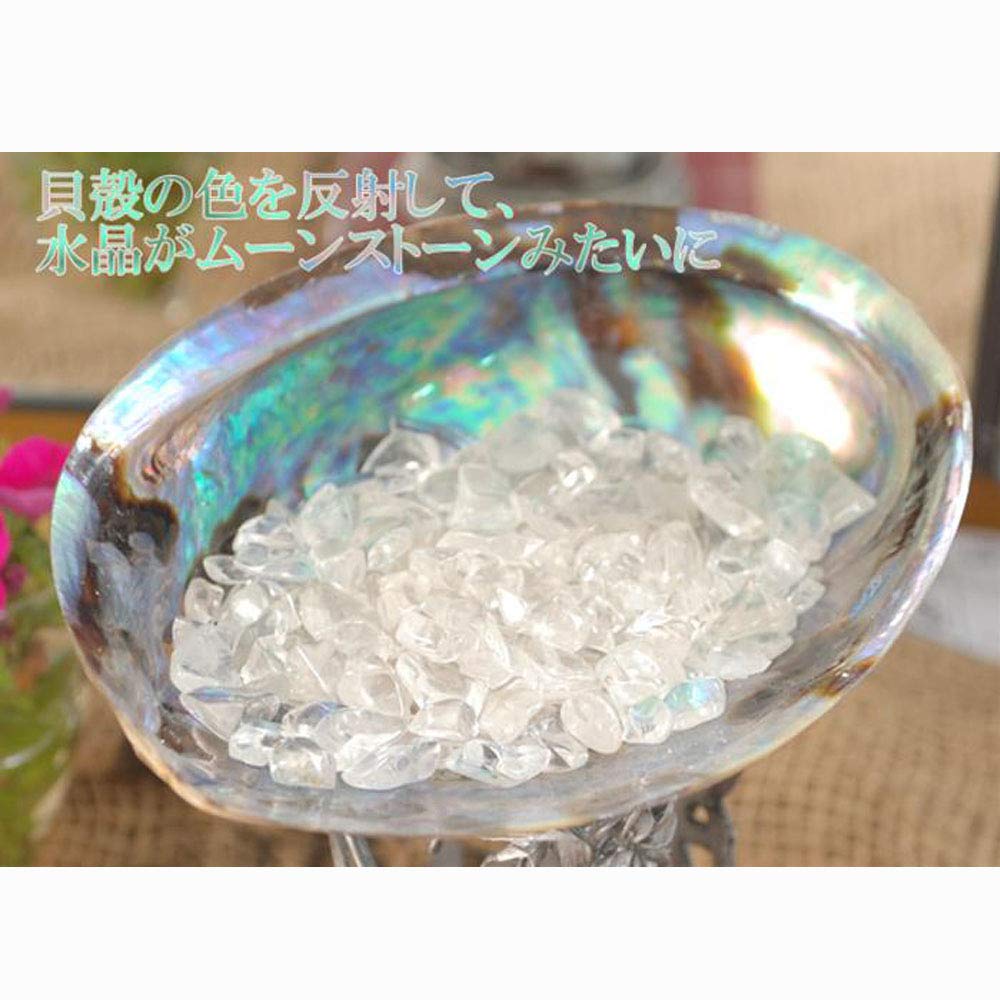 New Zealand Abalone Shell Smudging Dish, Accessory Case, and Crystal Container. Essential for White Sage Purification.