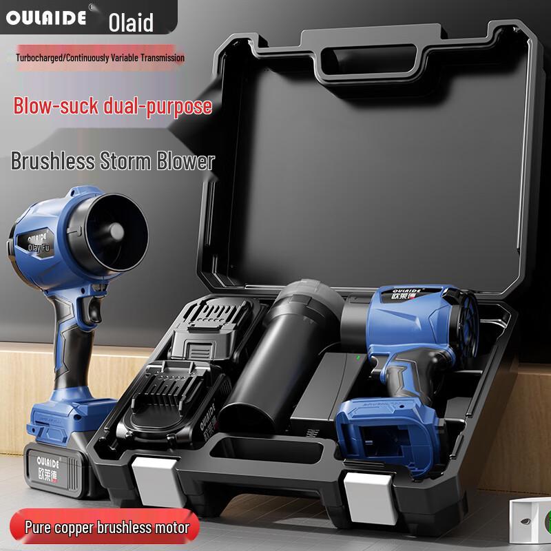 Oulaide Cordless 21V Lithium-Ion Blower Series CN Plug (adapter Included)