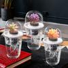 Transparent Nursery Pots Hydroponic Seedling Cup Flowerpot Potato Succulent Vegetable Hydroponic Planting Cup Nutritional Cup