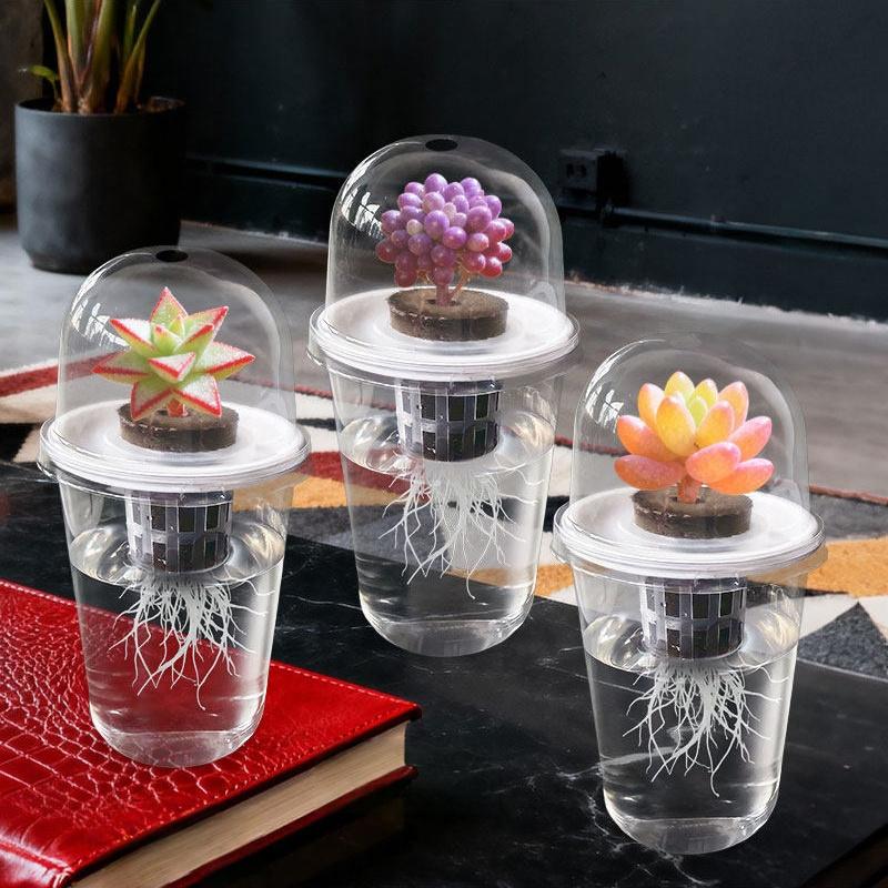 Transparent Nursery Pots Hydroponic Seedling Cup Flowerpot Potato Succulent Vegetable Hydroponic Planting Cup Nutritional Cup