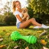 Durable Dog Chew Toy Interactive Dental Cleaning Ball Pet Toy for Small Medium Large Dogs Safe Non-Toxic Material