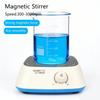 Laboratory Grade Portable Magnetic Stirrer With Stir Bar Adjustable Speed 300-3000RPM 3L Capacity EU Plug