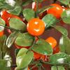 Pre Sale Customization Natural Jade Fortune Tree Ornament Wealth Chinese Ingot Tree Lucky Money Home Decoration Desktop Crafts