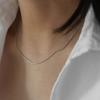 Titanium steel non-fading snake bone chain niche necklace women's light luxury neck chain high-end collarbone chain ins cold wind accessories