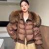 Chaquetas y abrigos – Chaquetas