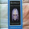 Beowulf A Prose Translation Paperback Book 9780393974065