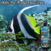 SIKEZHAN Aquarium Water Treatment Tablets Algae Remover Methylene Blue Nitrifying Bacteria Fish Tank Clarifier Conditioner Set
