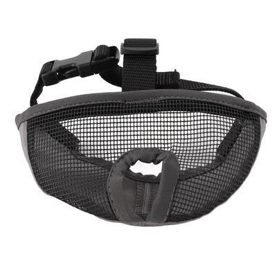 Cani – Attrezzature per l'addestramento dei cani