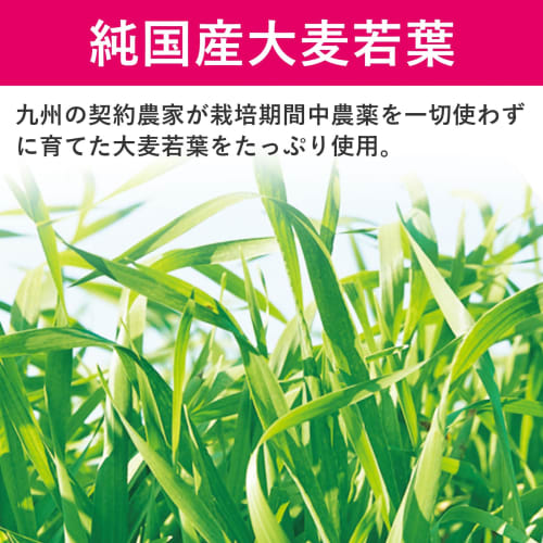 NIHON YAKKEN Super Fruit Green Juice Diet (30 Bottles X 2 Packs) - Contains Lactic Acid Bacteria, Enzymes, Yeast, Hyaluronic Acid, Collagen, Vitamins,