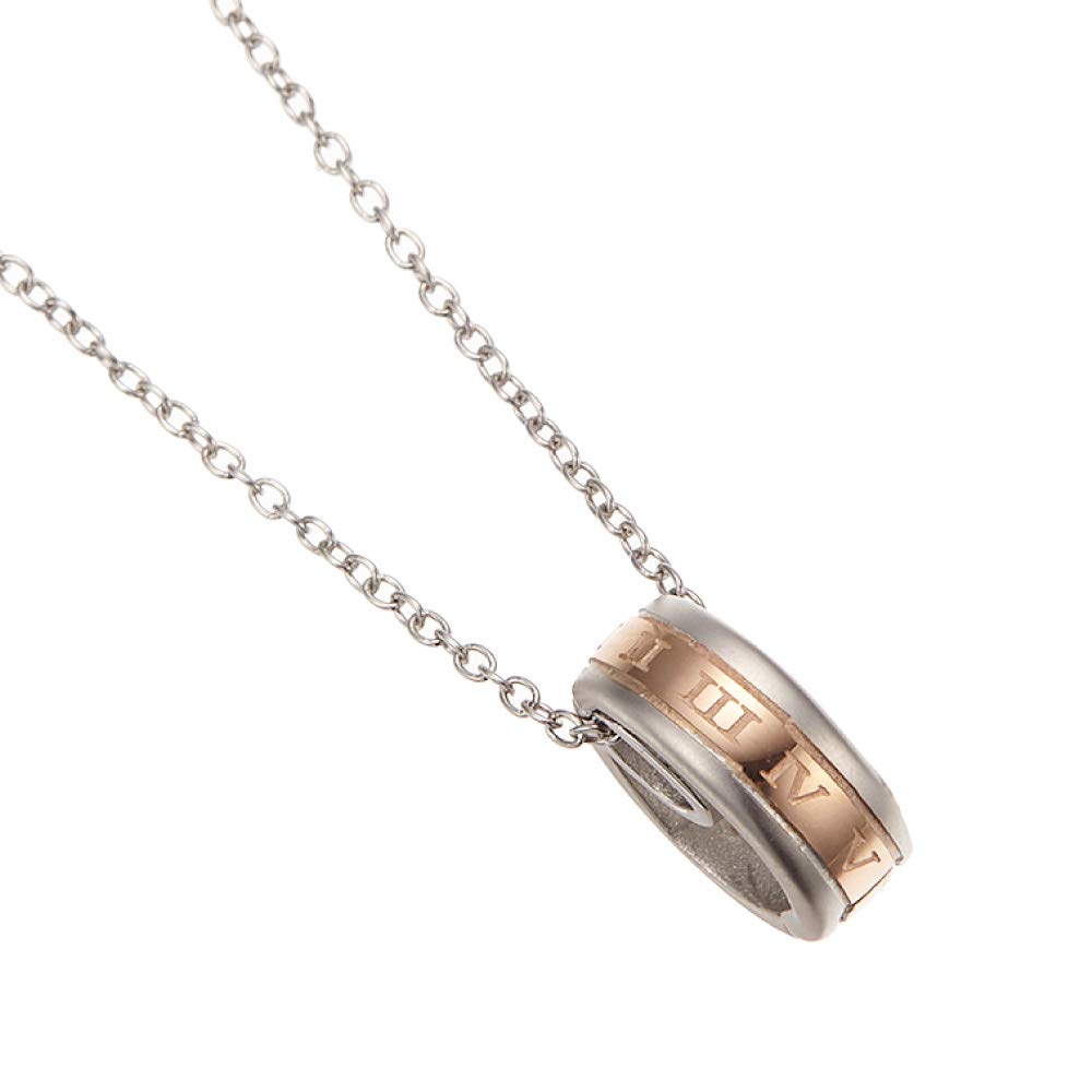 

Купуйте намисто-тримач для кільця з хірургічної нержавіючої сталі Roman безпечне для металевої підвіски для жінок і 50 см [Аксесуар Piena] сталь, цифри, алергії,