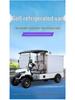 Electric Sightseeing and Delivery Van for Hotels and Campuses