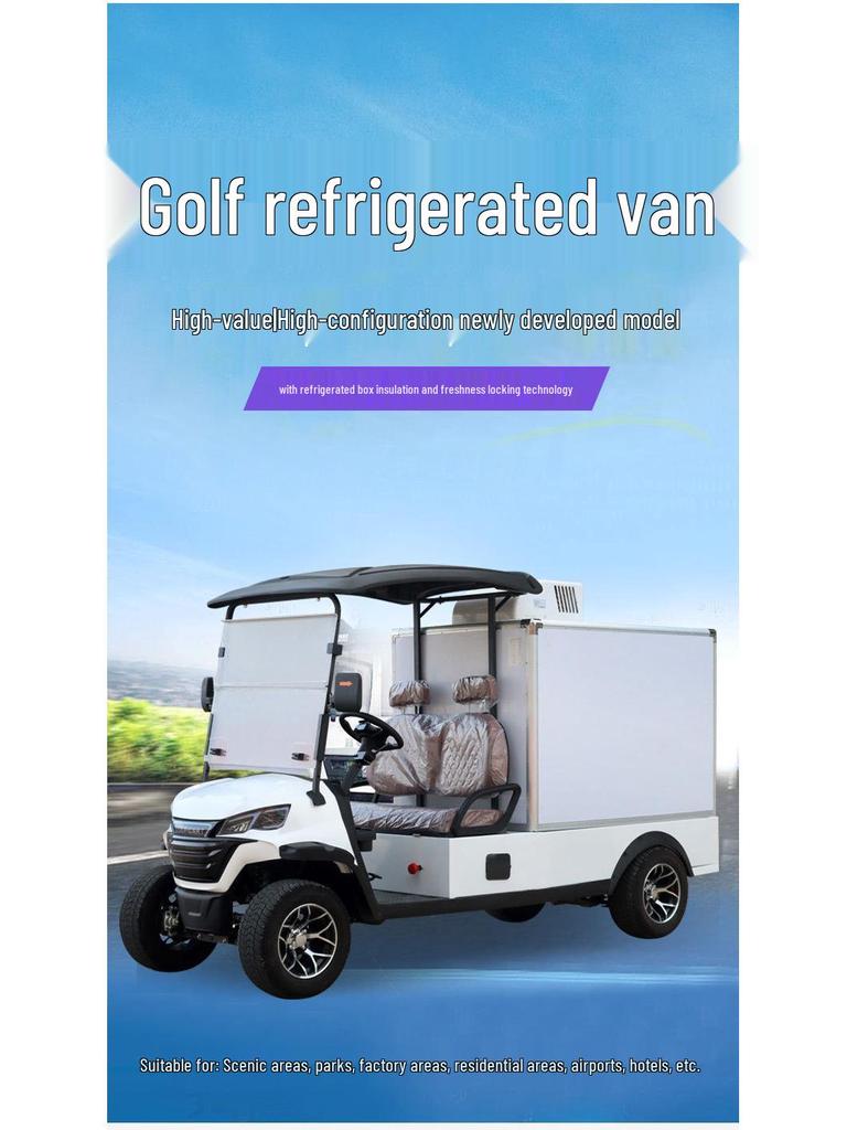 Electric Sightseeing and Delivery Van for Hotels and Campuses