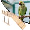 Lekeplass For Fugl Undulat Ståpinne Kjærlighetsfugl Burstigestige Huske Leker For Ara Kakadue Tre Undulat Leke Trening