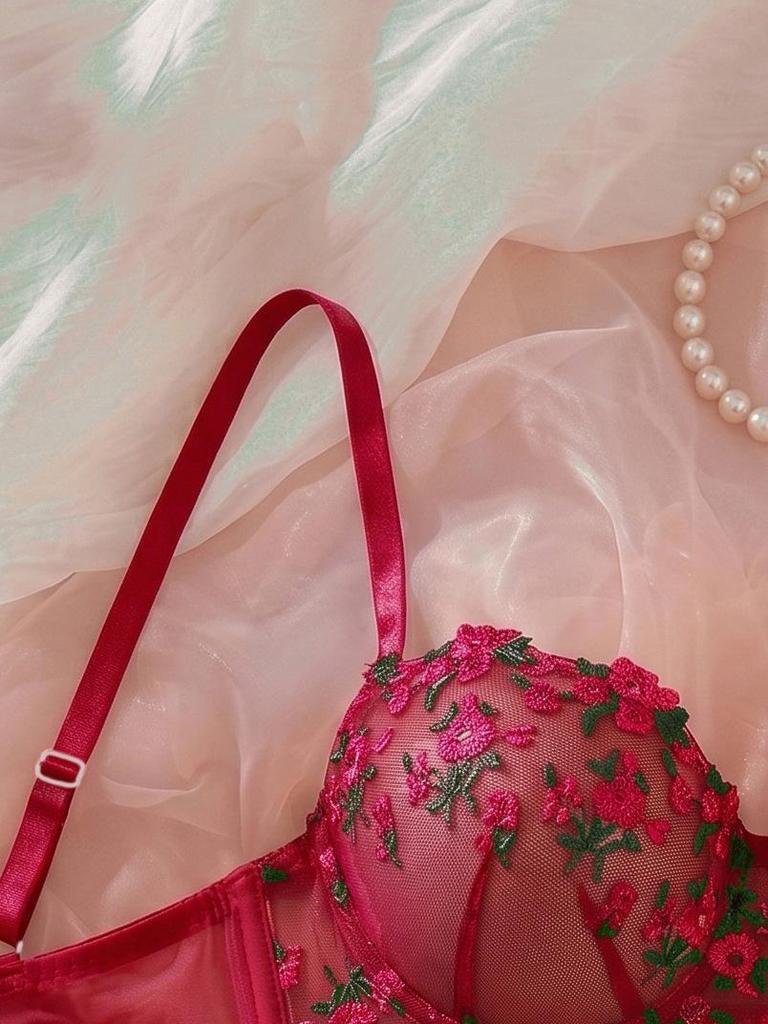French Pink Floral Embroidered Bra and Thong Lingerie Set