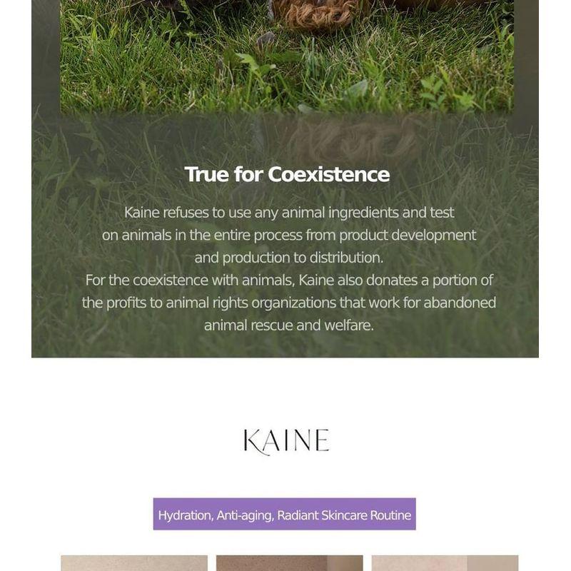 KAINE - Chaga Collagen Charging Serum