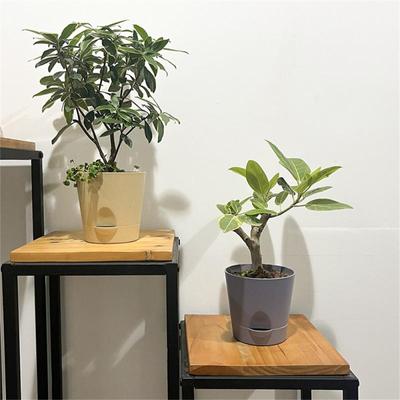 Breathable Detachable Bottom Flower Pot Light Blue Home Supplies Thickened Basin Flowerpot Khaki Gardening Tools Preservative