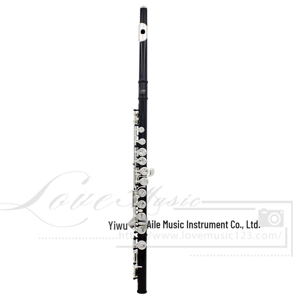 LADE 16-Hole C Key Colored Flute for Children, Students, & Adults - Professional Western Musical Instrument.