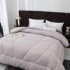 Antibacterial Soft Velvet Winter Quilt