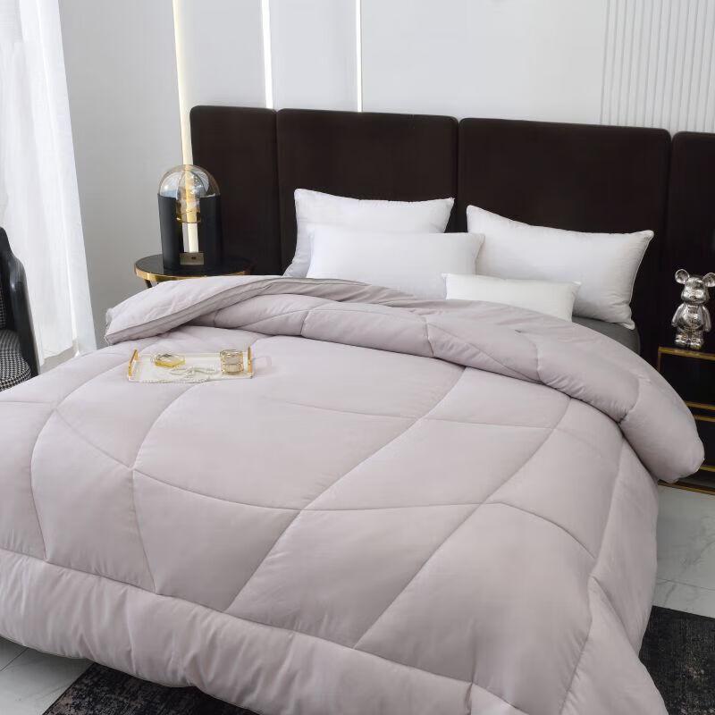 Antibacterial Soft Velvet Winter Quilt