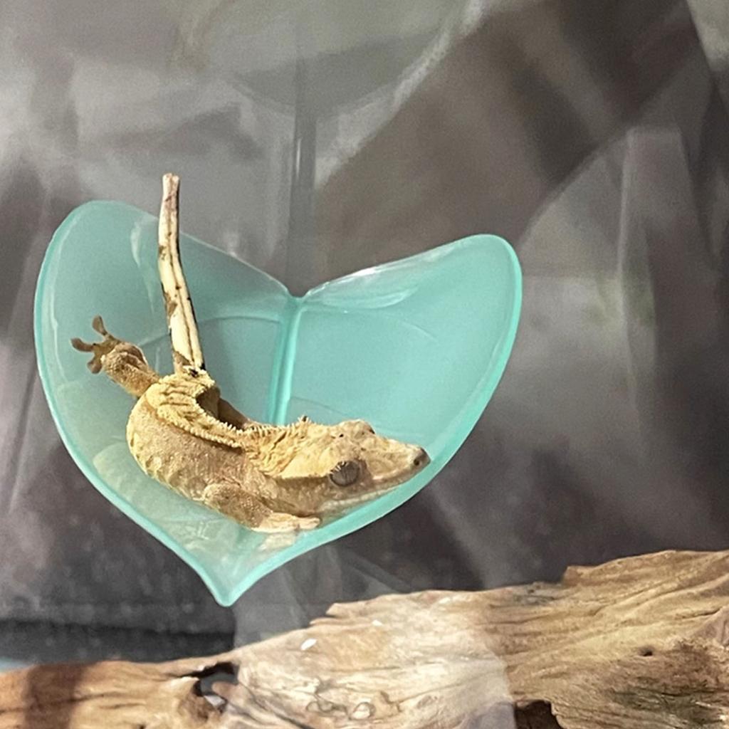 Turtle Basking Platform 6PCS Tree Frog Tank Accessories Leaf Shape Bearded Dragon Platform Suction Cups Resting Leaves