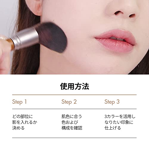 Too Cool School Artclass Rodin Shading Korean Cosmetics Makeup Skincare Three-Dimensional Volume Warm Tone (Classic)