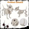 1pc Realistic Dog/Frog/Bird Skeleton Decoration - Lifelike Bone Structure with Expressive Eyes, Home Decor, Halloween Home Decor