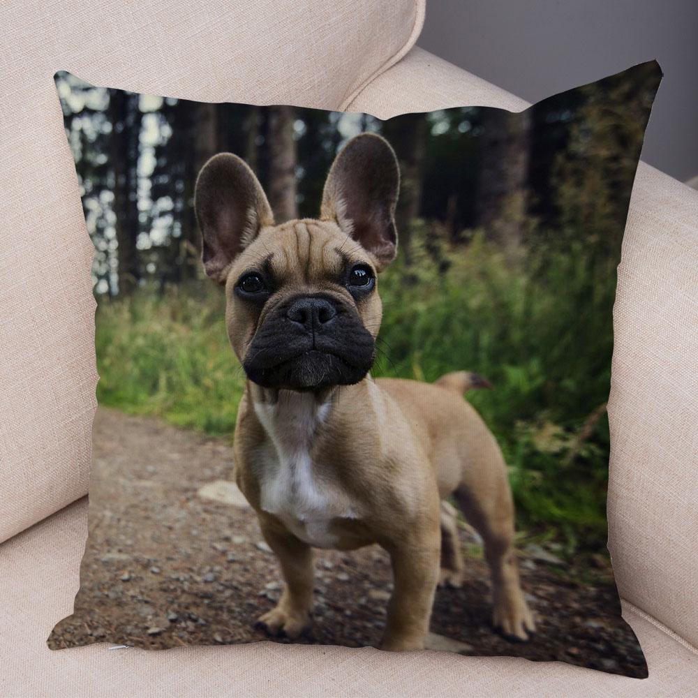 Cute Pet Mini French Bulldog Pillowcase Home Sofa Car Decoration Animal Dog Cushion Cover Printed