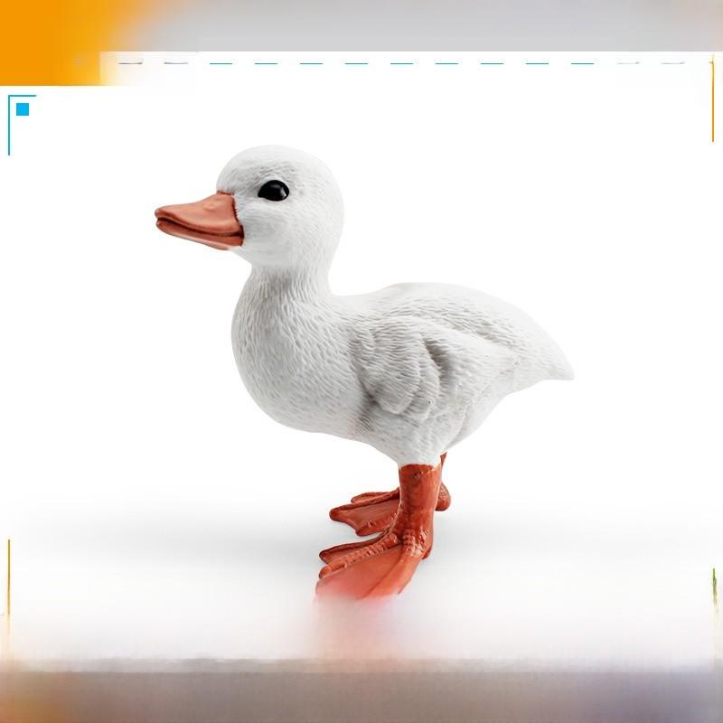 Childrens Pvc Bird Figurines Set For Farm Scene Decor And Learning Activities