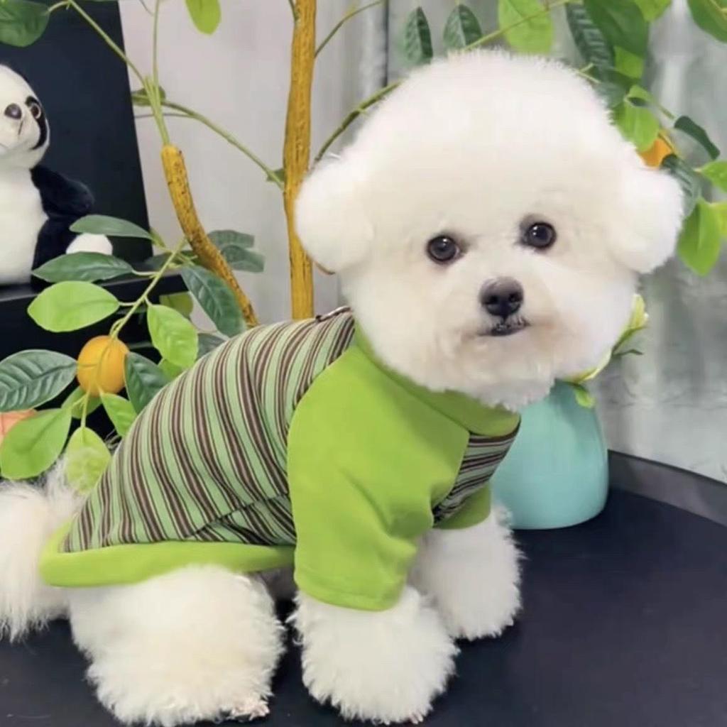 Cozy Striped Base Layer for Small & Medium Dogs - Two-Legged Fall/Winter Warmwear for Teddy & Bichon.