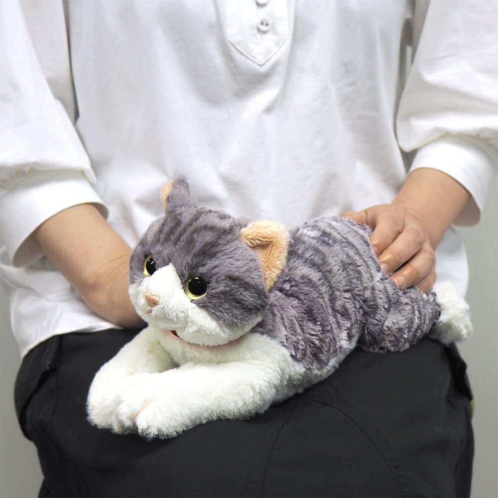 Sun Lemon Lap Cat Sabashiro Plush Animal Small 13 x 36 x 15cm Cute Cat P-7812