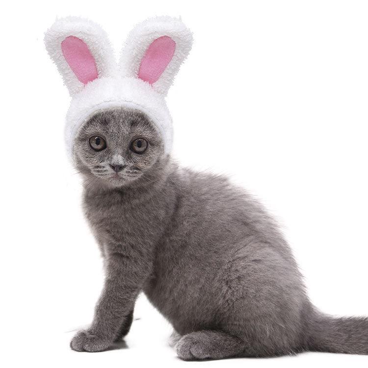 Cozy Cotton Fleece Hat for Small Pets - Perfect for Dogs, Cats, and Rabbits In Autumn and Winter