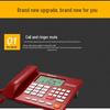 Newman HL2008TSD-2084(R) Automatic Recording Landline Phone (CN Version)
