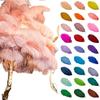 1PC Strusie Pióra Plumas Decor Naturalna Skóra Weselna Dekoracja Kolorowe Strusie Stoły Centralne Do Rzemiosła