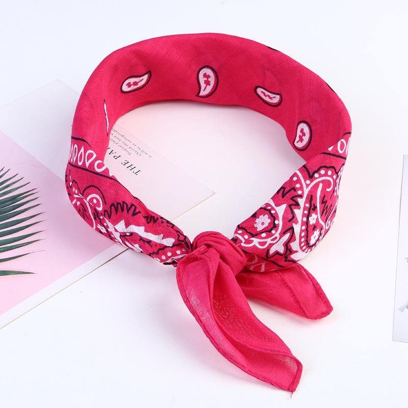 Paisley Cycling Bandana & Hip Hop Headband for Outdoor Sports & Street Dance