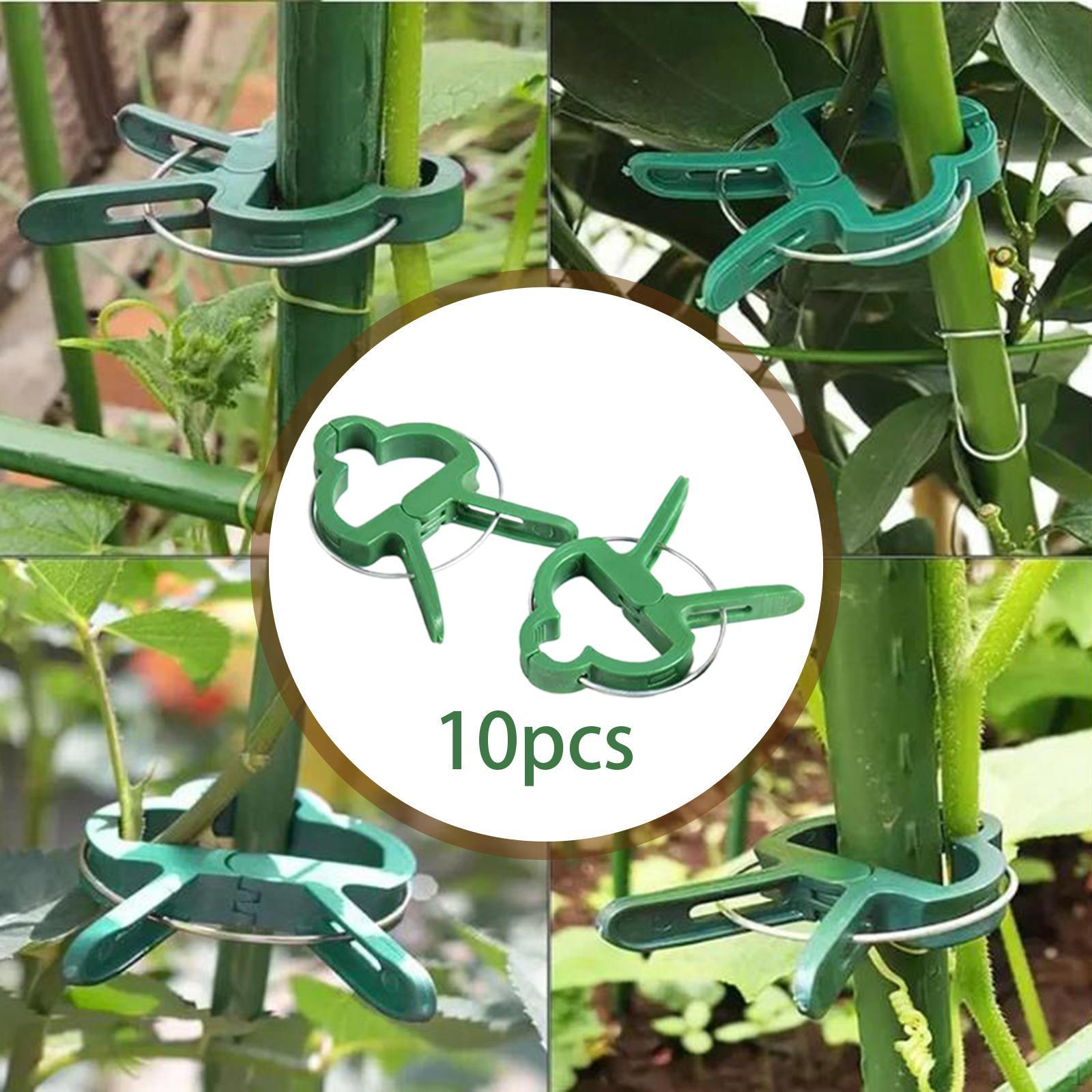 

Clamps for Plant Support in Gardening with Gripper Features 10 Pieces